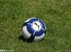 南华早报,跳高新星小,内茜人气飙,B体育官网,APP下载,注册领彩金,官方网站,网站入口