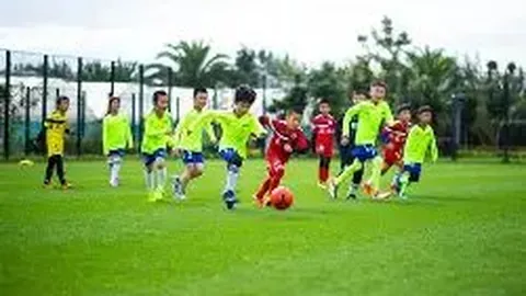 B体育 产品 105541 y1u